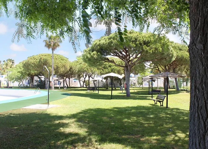 La Mandragora
